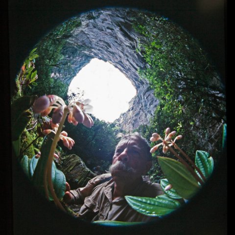 Charles examina una Phainantha en la cueva "Sima Humboldt" del tepuy Sarisariñama